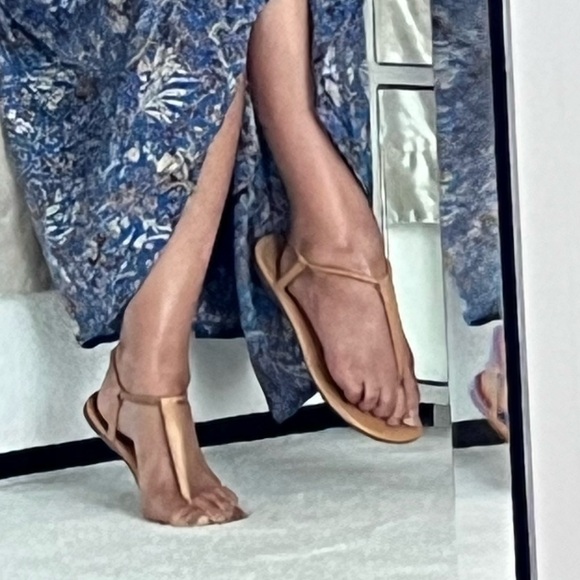 Meet Hal - Picture 16 of 16